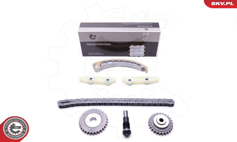 Timing Chain Kit